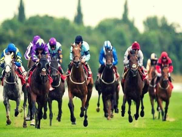 Khám Phá Tỷ Lệ Cược Đỉnh Cao Cùng Bet 168